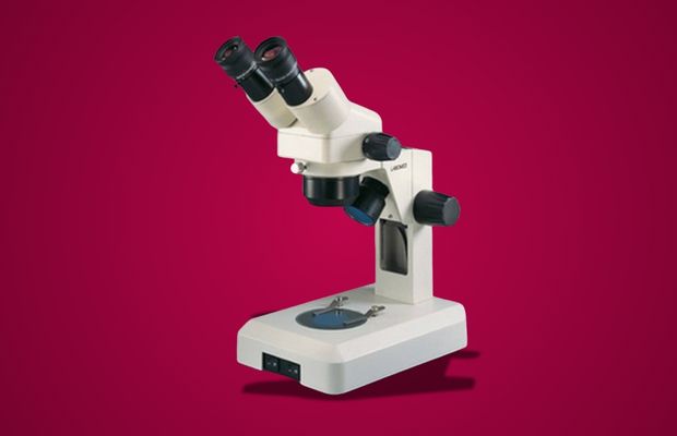 Image of the stereo microscope