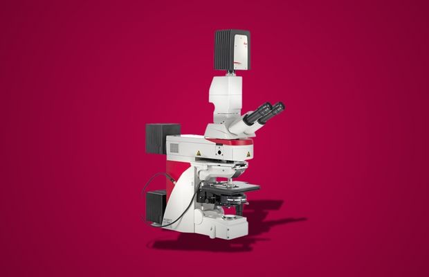 Image of the upright fluorescence microscope