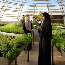 Future Sustainable Cities